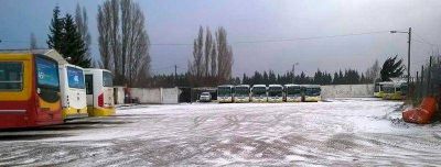 Malestar por falta de unidades en l�neas de TUP