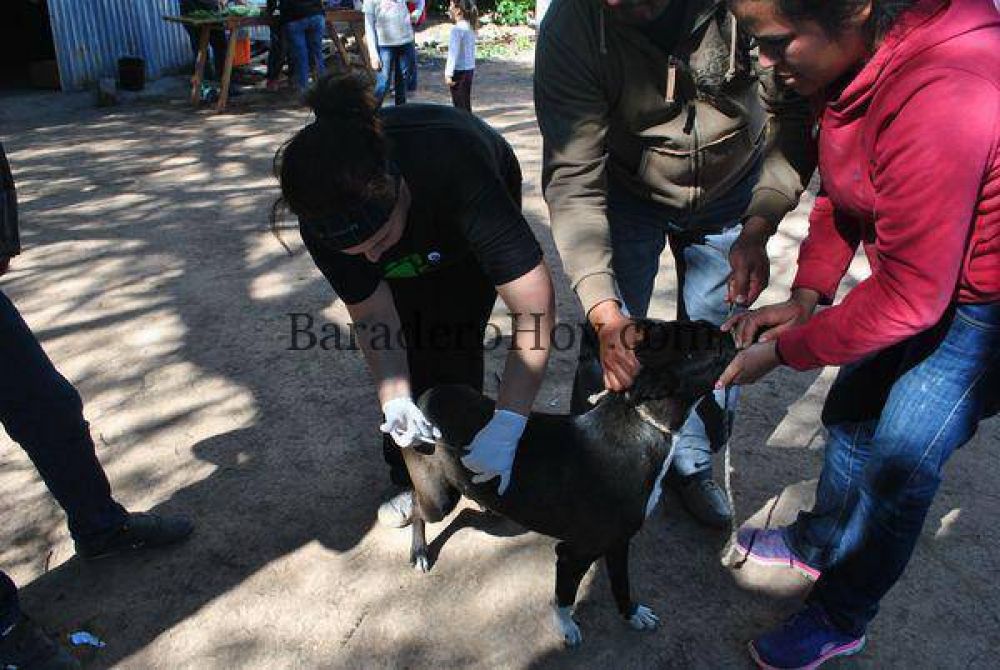 Actitud Animal Baradero asistiendo animales dom�sticos en el Impenetrable chaque�o�