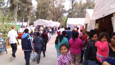 M�s de 5 mil personas por d�a recorren la Feria Artesanal