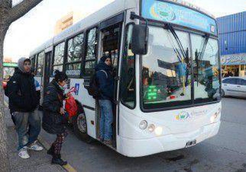 Pehuenche destinar� 15 colectivos para el este 