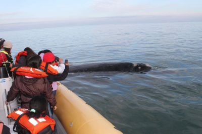 Alumnos neuquinos de escuelas rurales pudieron �descubrir� el mar