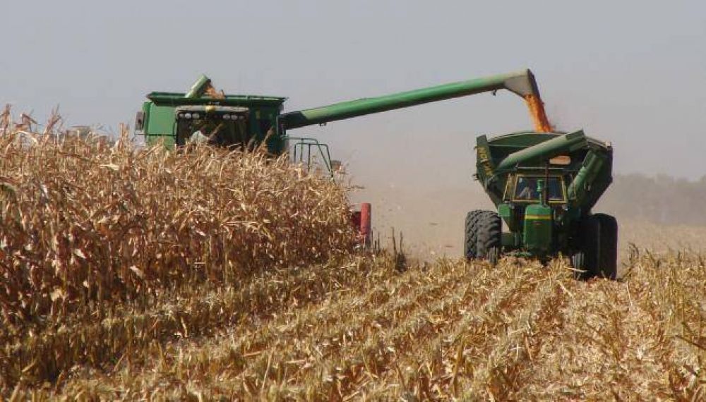 En 2014, C�rdoba creci� por el agro y los servicios