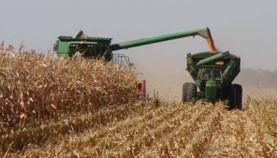 En 2014, C�rdoba creci� por el agro y los servicios