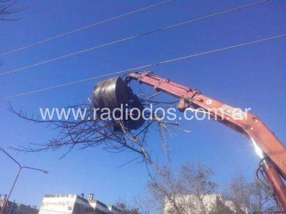 Operario municipal recibi� una descarga el�ctrica al podar �rboles en las Mil Viviendas: est� en grave estado