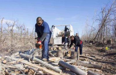 Asisten con le�a a m�s de 350 familias del oeste capitalino