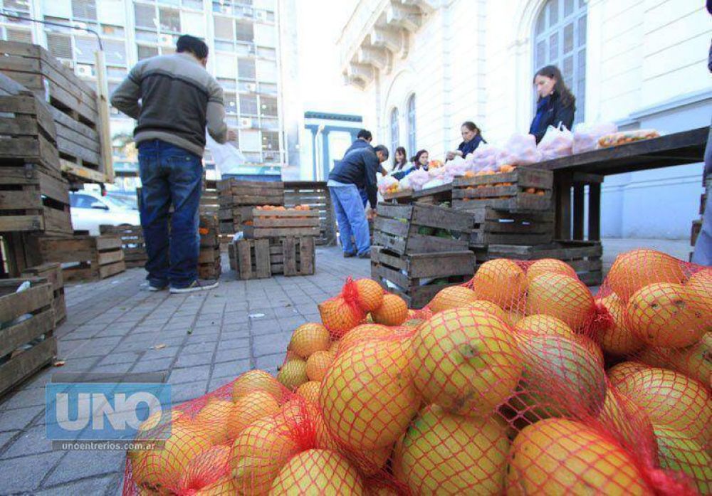 C�tricos a precios cuidados se conseguir�n en Paran�