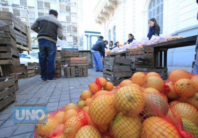 C�tricos a precios cuidados se conseguir�n en Paran�