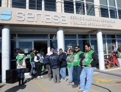 Trabajadores de Senasa parar�n por otros 12 d�as: podr�a faltar la carne