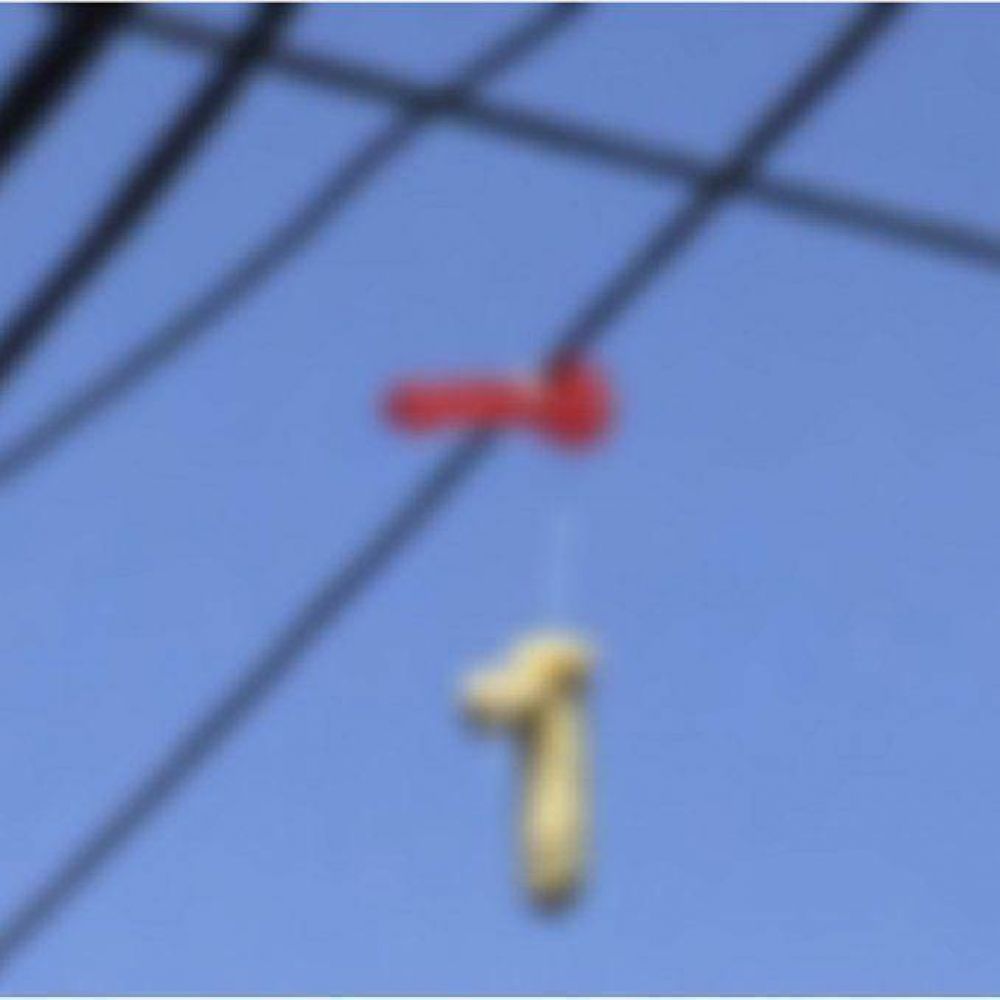 Ins�lito: una ciudad amaneci� repleta de juguetes sexuales