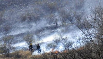 Se quem� el 18,8% de las sierras entre 1999 y 2011