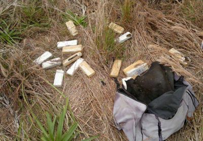 Secuestraron 25 kilos de marihuana en un campo del norte entrerriano