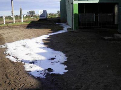Desechar�an 3 millones de litros de leche en la cuenca santafesina