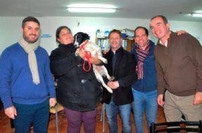 La Secretar�a de CAZMA super� las 5.000 castraciones de felinos y caninos