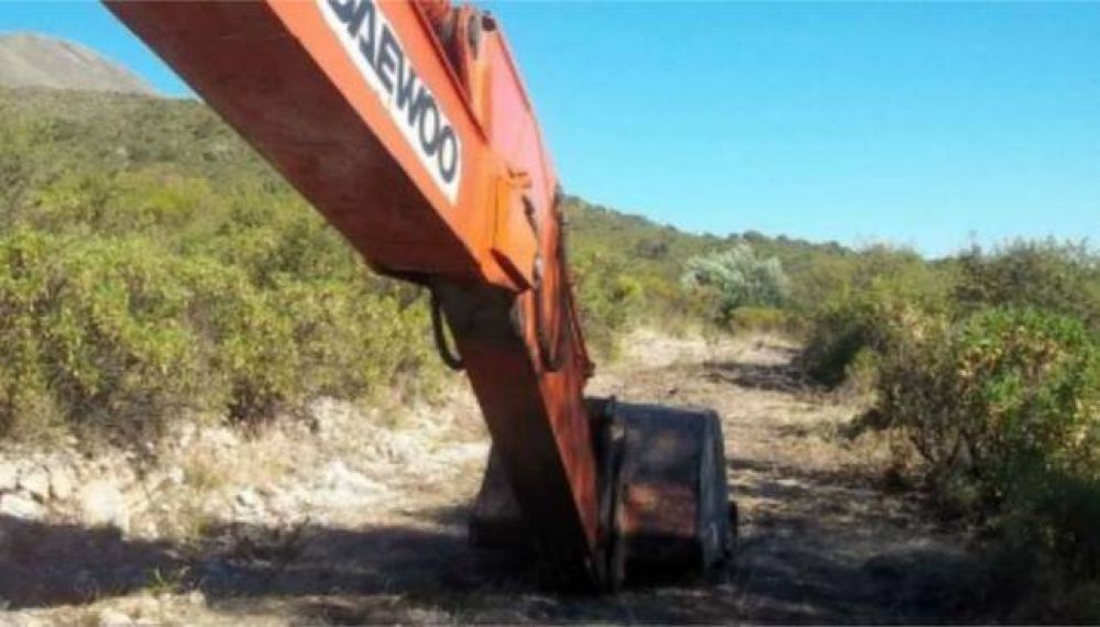 C�rdoba pierde 44 estadios por d�a de bosque nativo