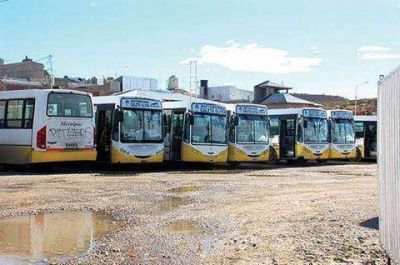 Denuncian vaciamiento de Autobuses Caleta Olivia