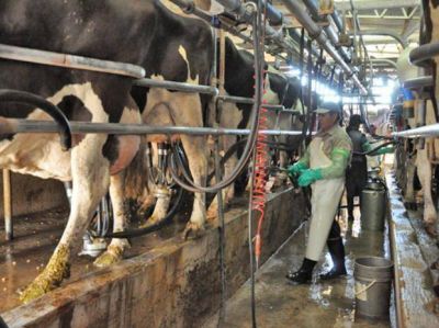 Confirman el levantamiento del paro de los productores de la industria l�ctea de la provincia