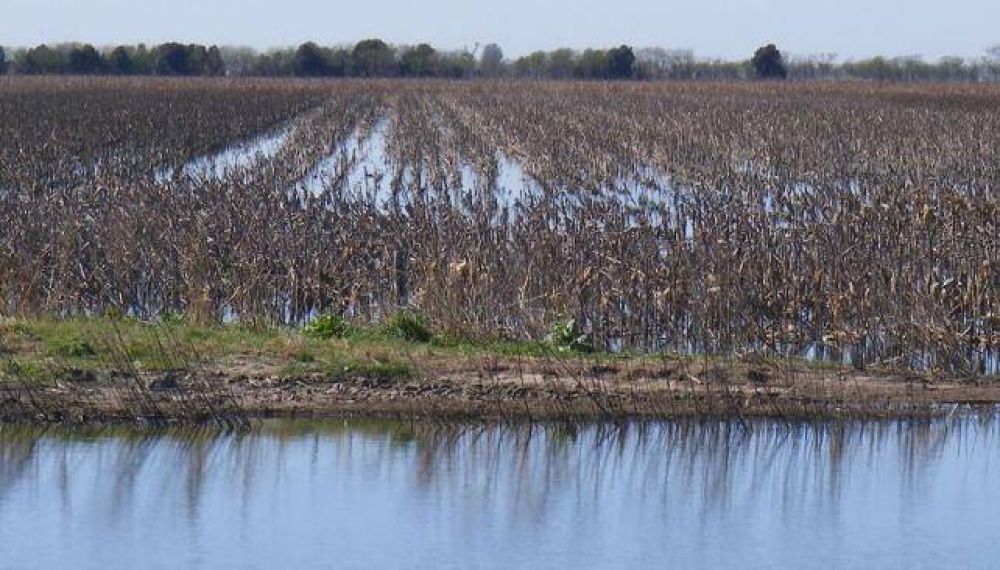 Detectan 65 canales rurales clandestinos en tres meses