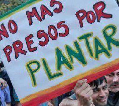 Cultivo de perejiles