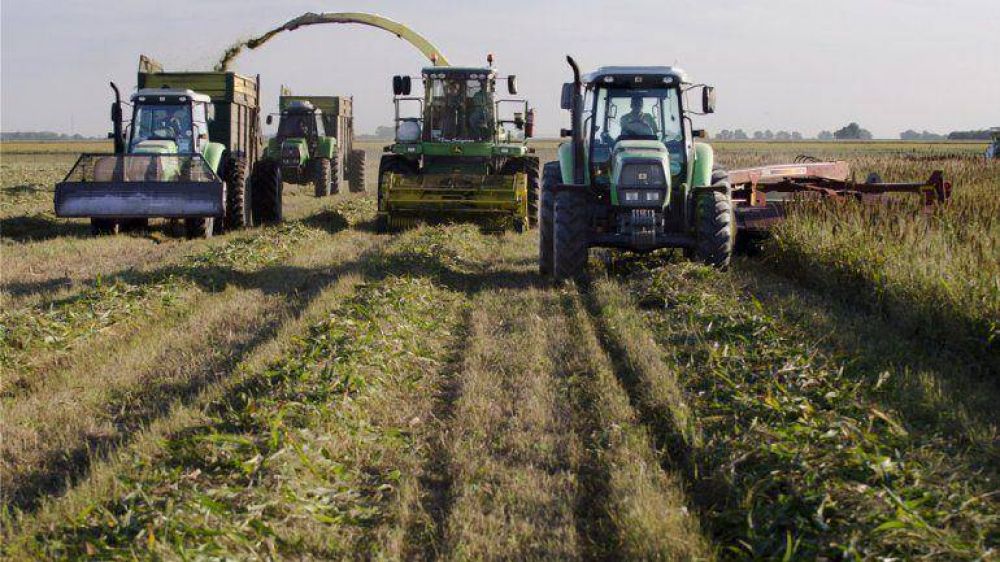 Nuevo gui�o del sciolismo al campo: promete 
