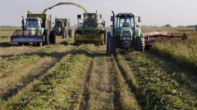 Nuevo gui�o del sciolismo al campo: promete 