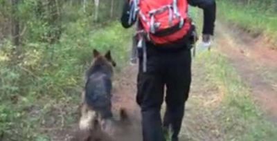 Desesperada b�squeda de una ni�a de 11 a�os en el sur de la provincia