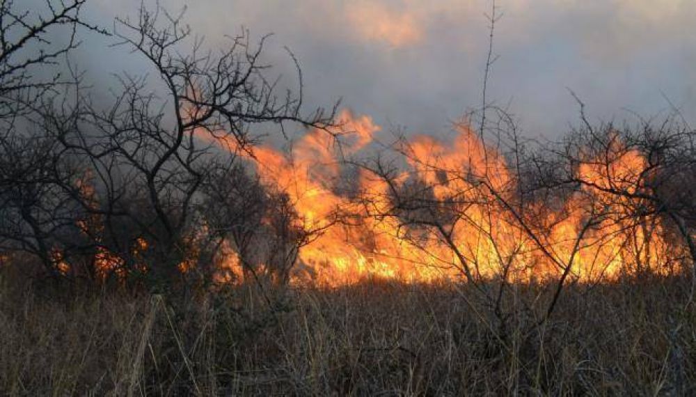 Alerta por incendios forestales en C�rdoba