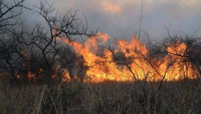 Alerta por incendios forestales en C�rdoba