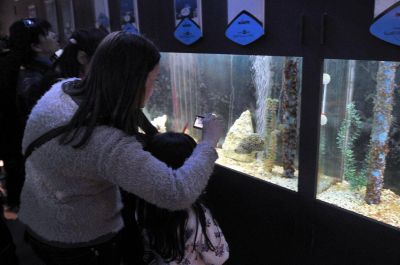 Casi 230.000 visitantes llegaron a Mendoza en vacaciones de invierno