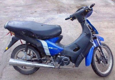 Padre e hijo detenidos por robo y vandalismo