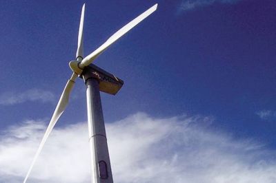 El Gobierno y empresarios locales analizaron posibles inversiones en energ�a e�lica