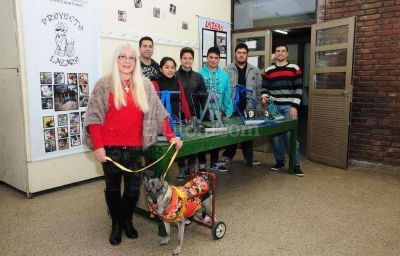 Unos 500 perritos volvieron a caminar con Proyecto L�zaro