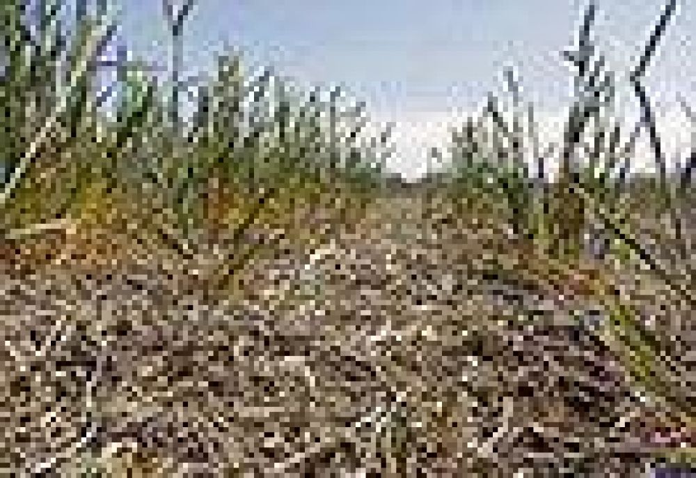 El cambio clim�tico traer� sequ�as e inundaciones