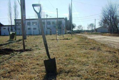 Arbolado Urbano entreg� 500 plantas gratis