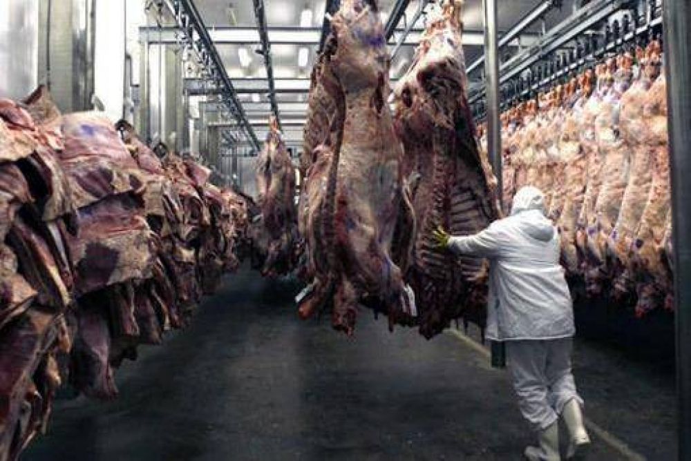 Se podr seguir exportando carne a China