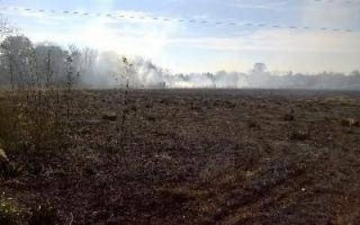 Importante incendio de pastizales en el predio de la Universidad de Luj�n