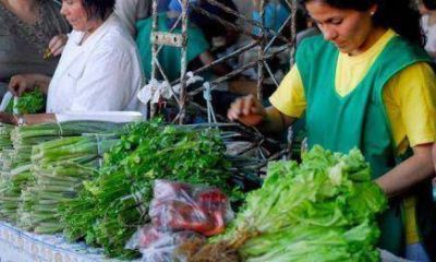 Ferias Francas: Productores alarman sobre un 50% de p�rdidas tras las lluvias de julio
