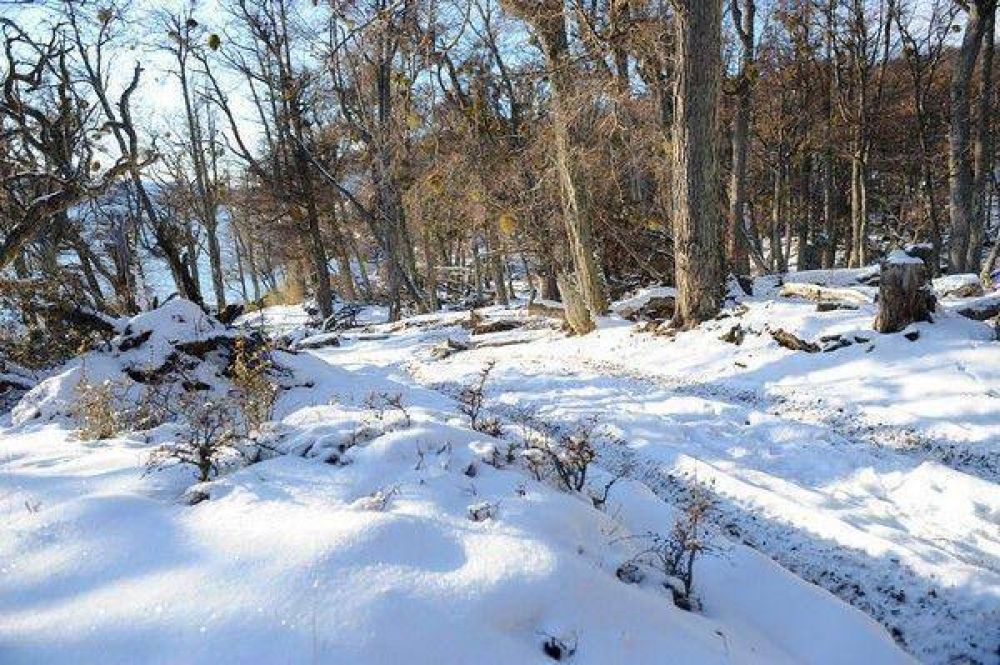 Ushuaia pone el escenario natural para �The Revenant