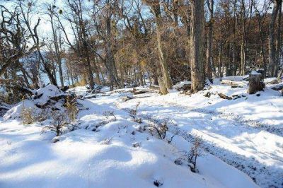 Ushuaia pone el escenario natural para �The Revenant