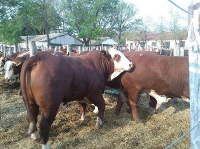 Suspendieron las elecciones en la Sociedad Rural de San Luis por la supuesta eliminaci�n de afiliados del padr�n
