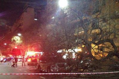 La ca�da de un �rbol interrumpi� el tr�nsito en el barrio de Belgrano