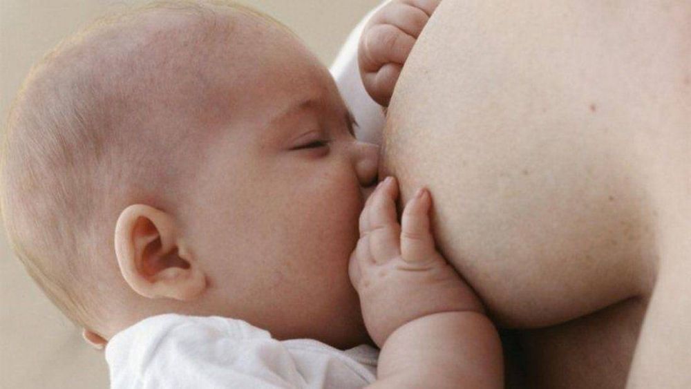 Maana comienza la Semana Mundial de la Lactancia Materna