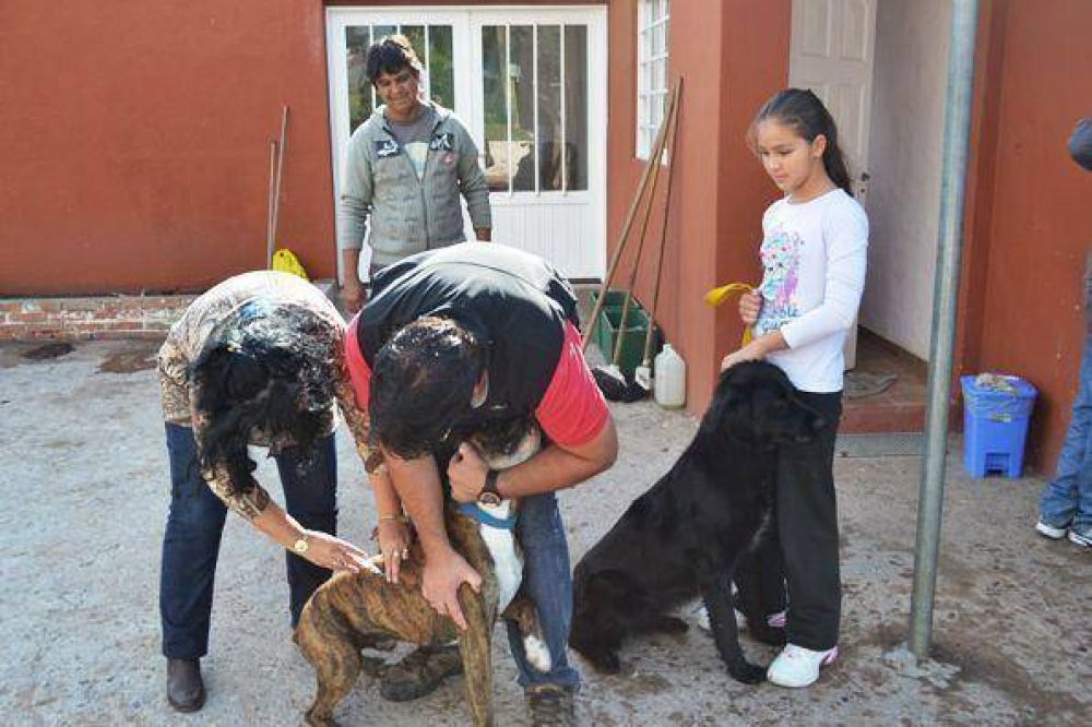 Vacunar�n contra la rabia en Villa Germinal