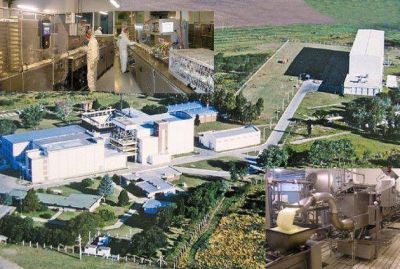 Mastellone planea una ampliaci�n de su producci�n en San Luis