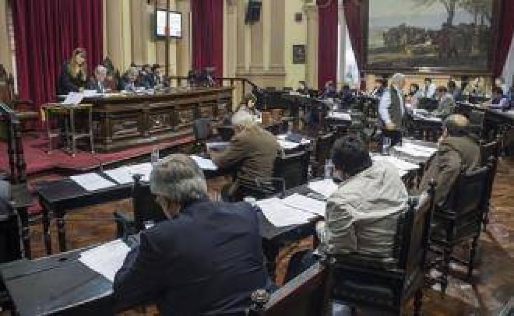 La C�mara de Diputados ya tiene representante para el Observatorio de Violencia contra la Mujer 