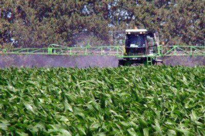 Aseguran que R�o Negro puede producir alimentos para toda la Patagonia