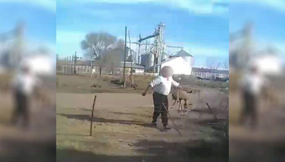 Escrachan a un maltratador de animales