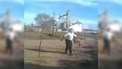 Escrachan a un maltratador de animales