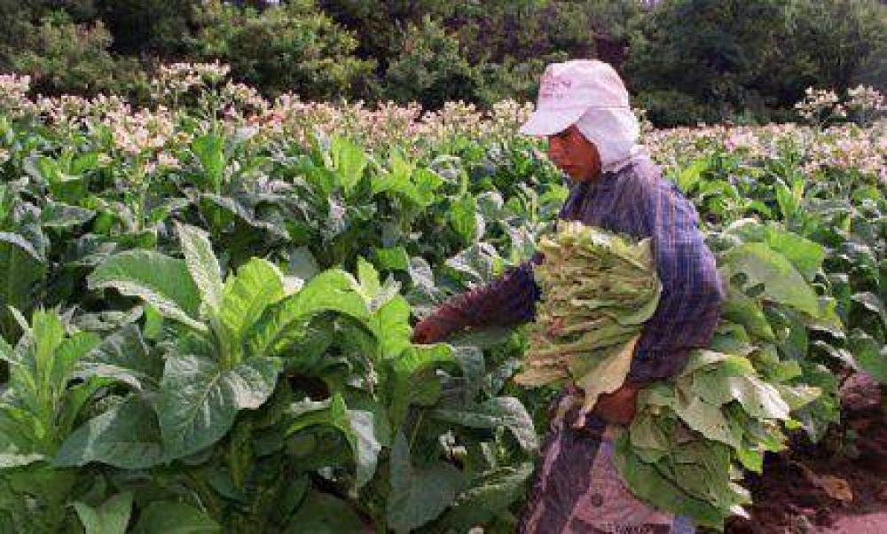 Alem: Productores de t� cortaron una calzada de la Ruta 14