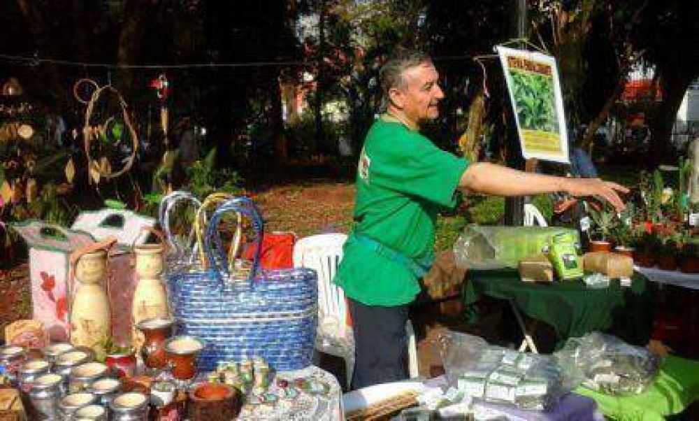 Las precipitaciones de los �ltimos meses afectaron a la producci�n de stevia en Misiones