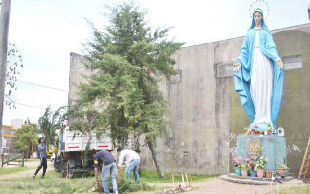 Efect�an la poda de los �rboles